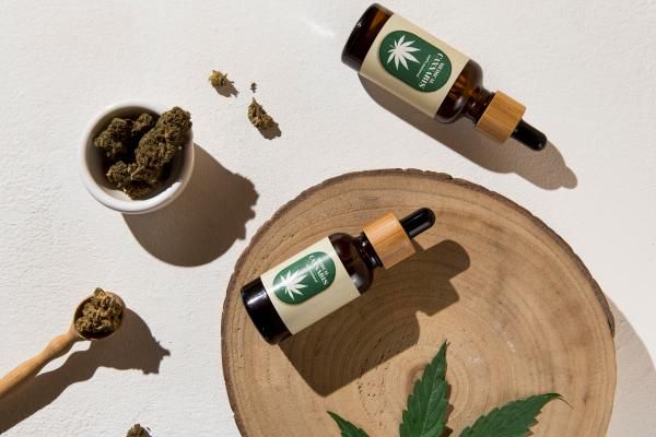 CBD - imagen de unos frascos con aceite de cannabis sobre una mesa con cogollos de la planta