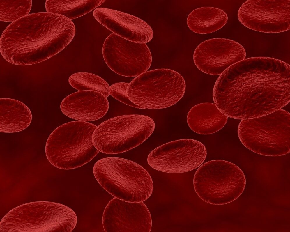 leucemia - Glóbulos rojos