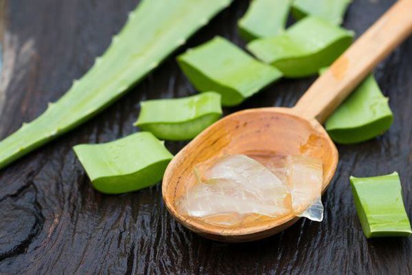 una cuchara con gel de aloe vera, acompañada de varias hojas de la planta
