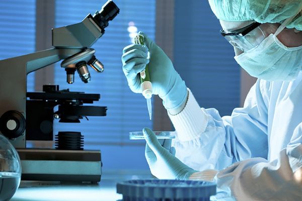Cáncer de próstata - Científico en el laboratorio preparando unas muestras de cáncer para su estudio en el microscopio