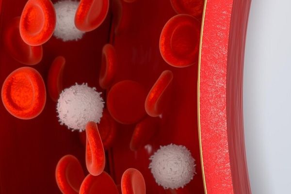 que es la leucemia - corte de un vaso sanguíneo con sus células sanguíneas