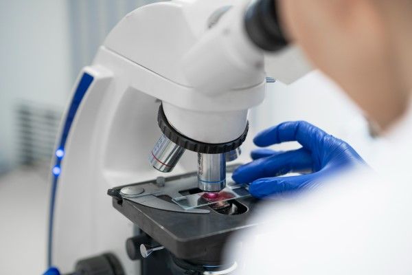  técnico de laboratorio analizando muestras