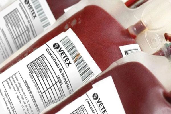 Concentrados de plasma congelado son reservados para terapia de pacientes con problemas de coagulación 