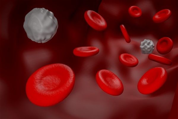 Linfoma no Hodgkin - dibujo de una vena con glóbulos rojos y blancos
