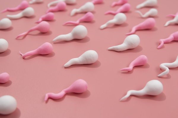 Azoospermia - Dibujo representativo de espermatozoides color blanco y rosado
