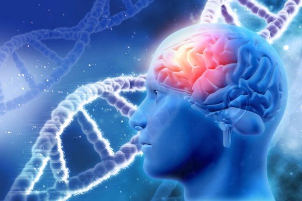 Representación gráfica de los factores genéticos de un trastorno de salud mental y de alteraciones en la química cerebral 