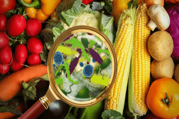 Frutas y verduras con una lupa, evidenciando bacterias que pueden provocar problemas intestinales