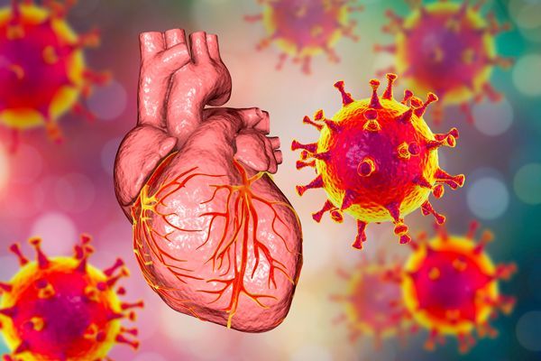 Imágen de un corazon rodeado por el virus del Covid