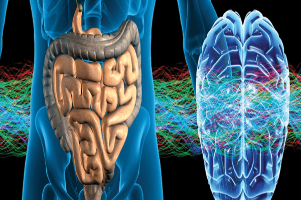 Motilidad intestinal - Ilustración detallada del sistema digestivo en un fondo negro