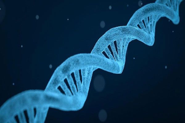 Osteogénesis - Vista ampliada de la cadena de un material genético de naturaleza humana