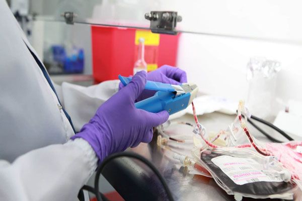 Médula ósea - Proceso de almacenamiento y congelación de las células madres en un laboratorio