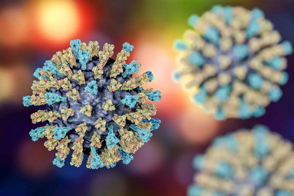 Sarampión - Vista microscópica del virus extendido del sarampión