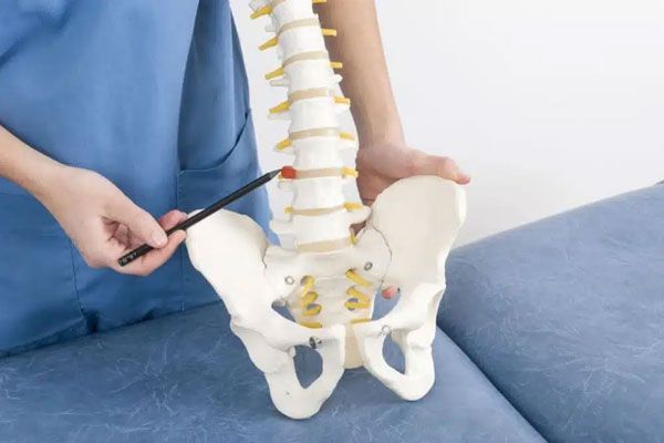 Osteogénesis imperfecta - Traumatólogo toma una representación de la columna vertebral para explicar las anomalías que se pueden presentar en dicha estructura ósea