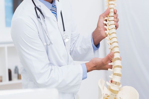 Densidad ósea - Doctor sostiene el esqueleto de una columna vertebral para explicar de forma detallada su composición y estructura 