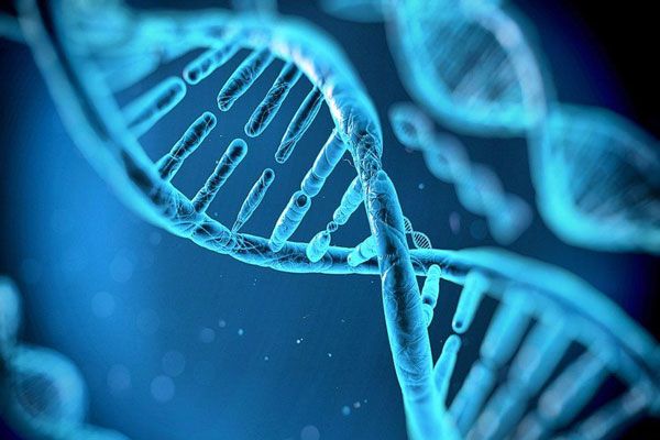 Osteogénesis imperfecta - Vista microscópica de un ADN con defectos genéticos