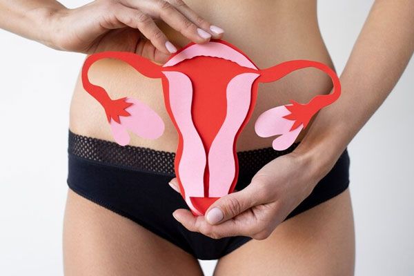 Enfermedad inflamatoria pélvica - Mujer sostiene una figura para ilustrar la apariencia interna del aparato reproductor femenino
